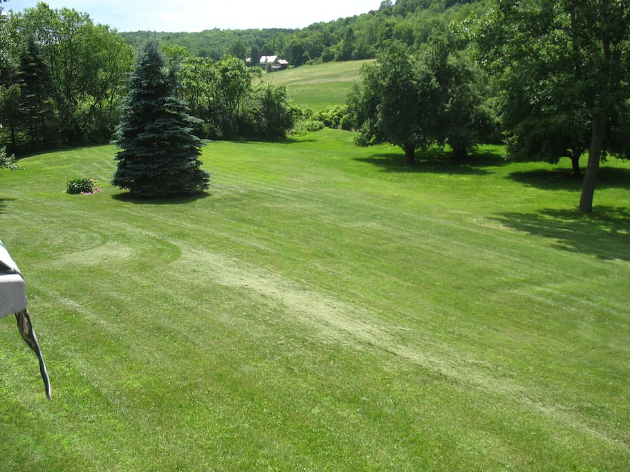 View from Deck of House