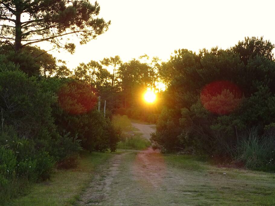 ATARDECIENDO SOBRE EL SENDERO