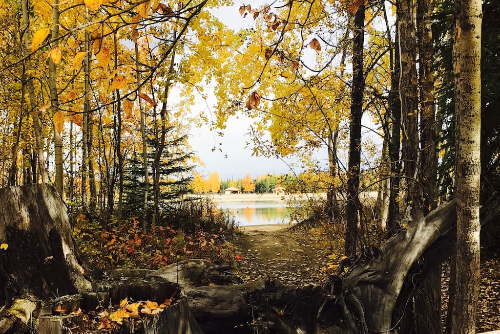 Pathway next to the house-private entry to the lake. Few steps from the yard and your recreational fun begins!