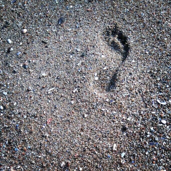 Barefoot living