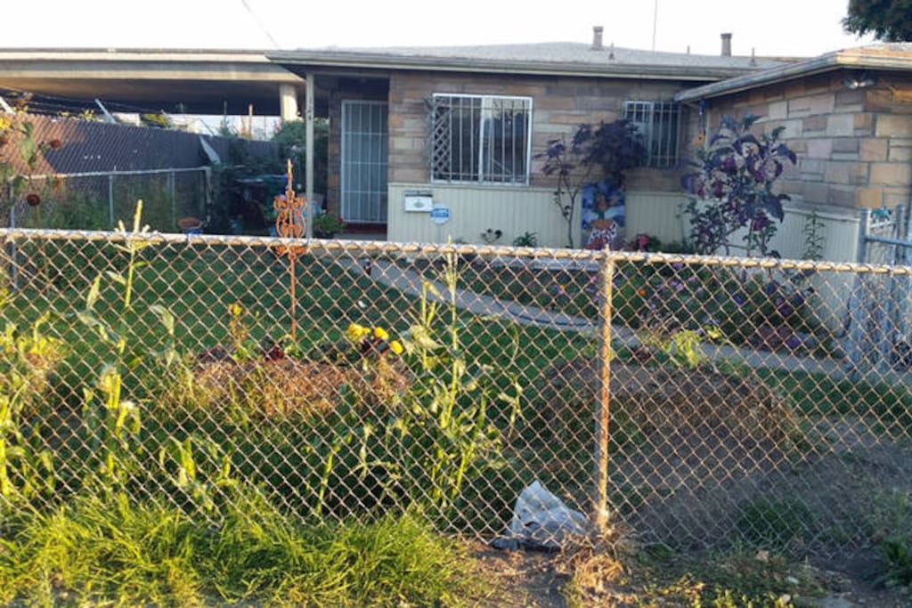 Front of the Home- garden area