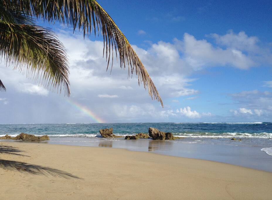 The point of famous Kite Beach is literally a stone's throw from the condo.