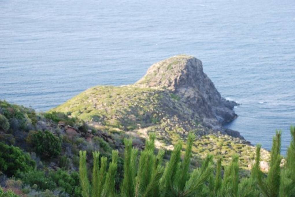 vista dal patio
