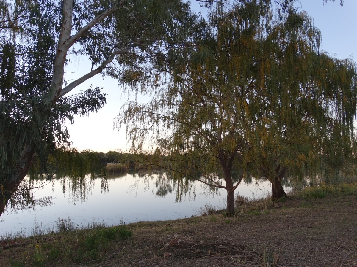 The image captures a serene riverside view, featuring tranquil waters reflecting the surrounding trees. Two trees with hanging branches frame the scene, providing natural shade. The area is grassy and open, suggesting accessibility for leisurely walks along the riverbank.