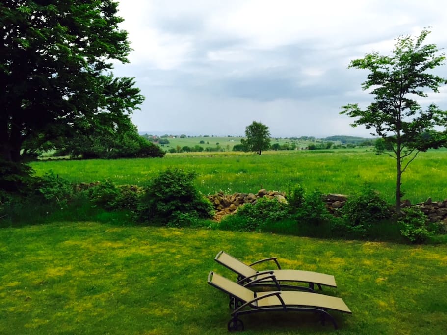 Scenic view