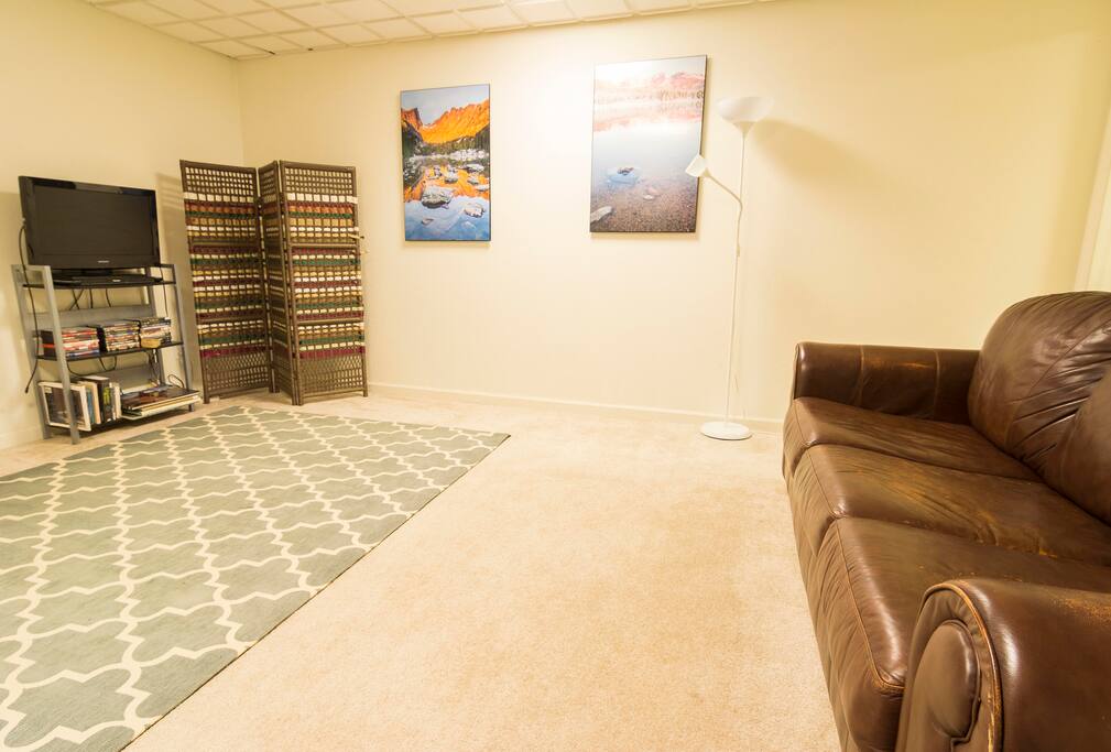 Living space, a television with books and a leather couch.