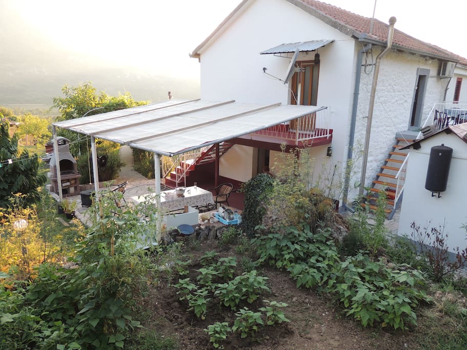 A view from the garden
