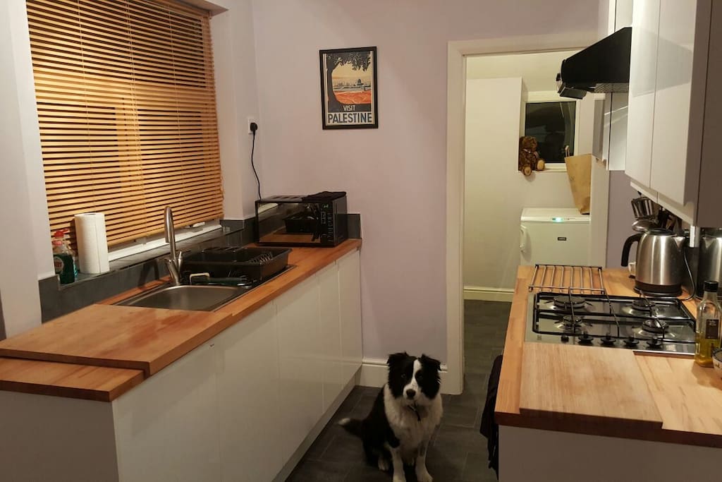 Kitchen + clean and friendly dog