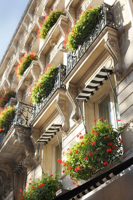 La façade Haussmanienne