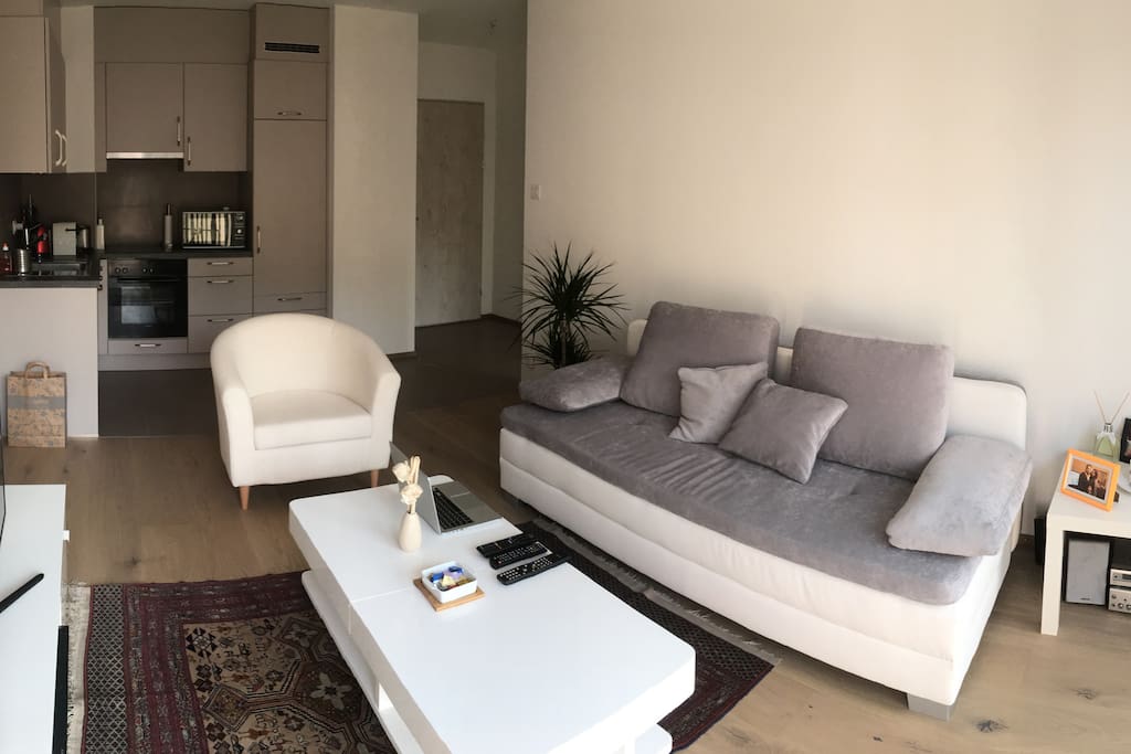 Salon + Cusine / Living room + Kitchen