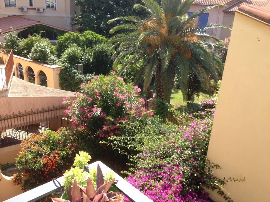 A gauche du balcon, un énorme magnolia, des lauriers-roses et des bougainvilliers.
