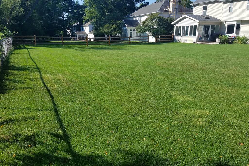 Huge fenced in backyard.