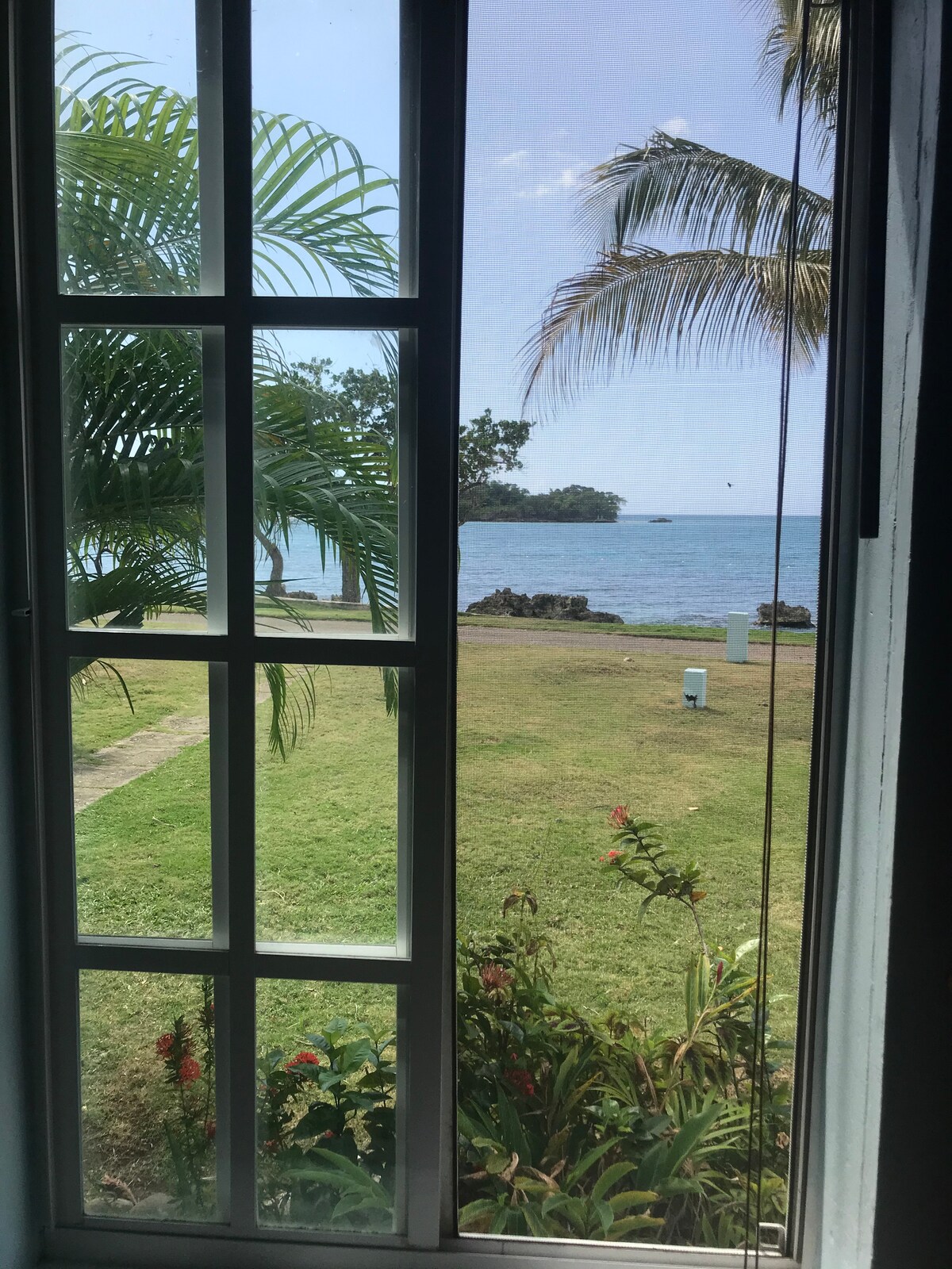 A window frame features a view of lush greenery and colorful tropical flowers. The scene reveals the Caribbean Sea in the distance, with a gentle wave lapping at the shoreline. A few rocks are visible in the water, under a clear sky.