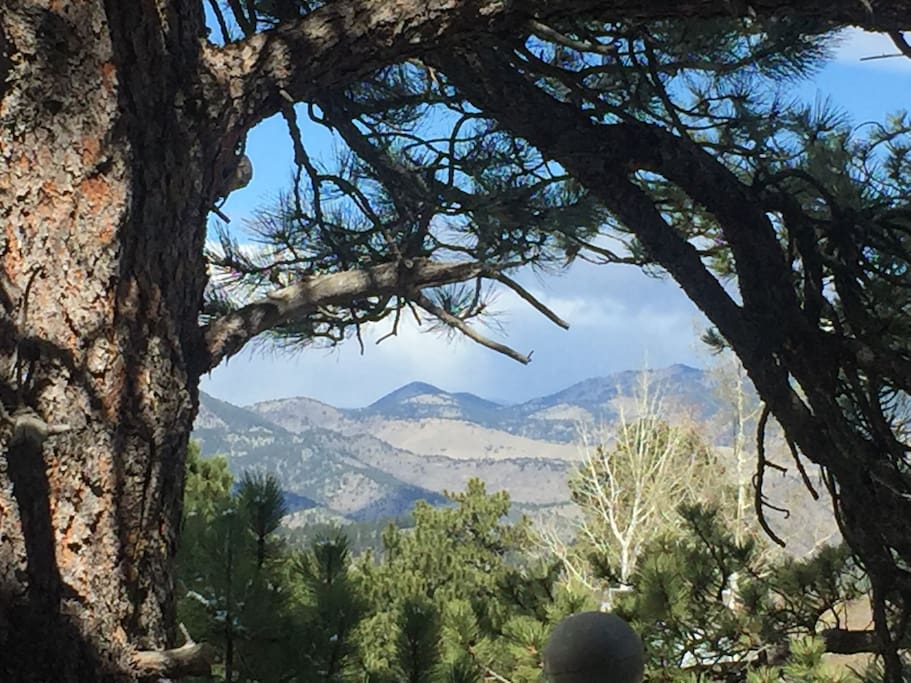 View from house