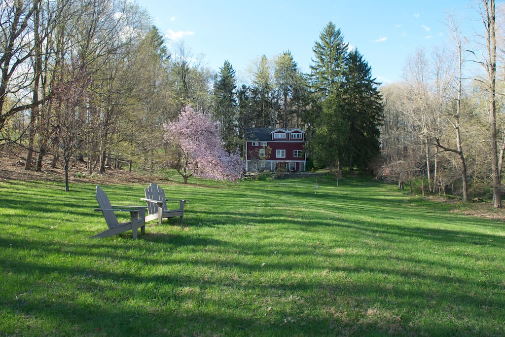 Stunning Back Lawn