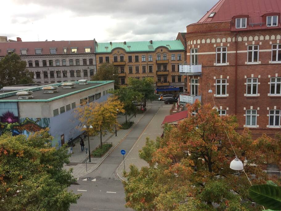 View from french balcony