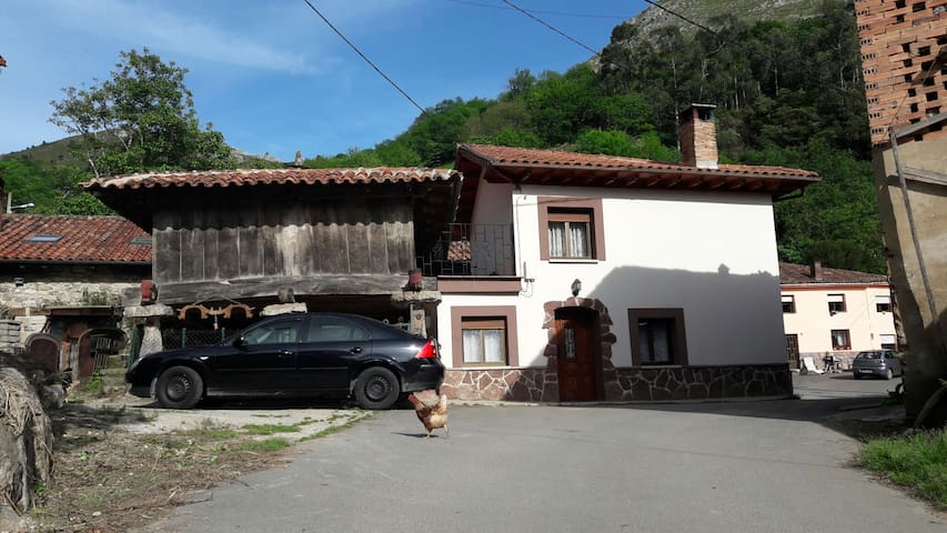 La Casina n1
