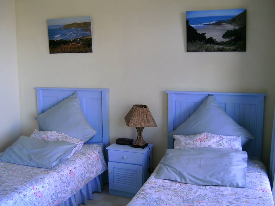 Shelley beds