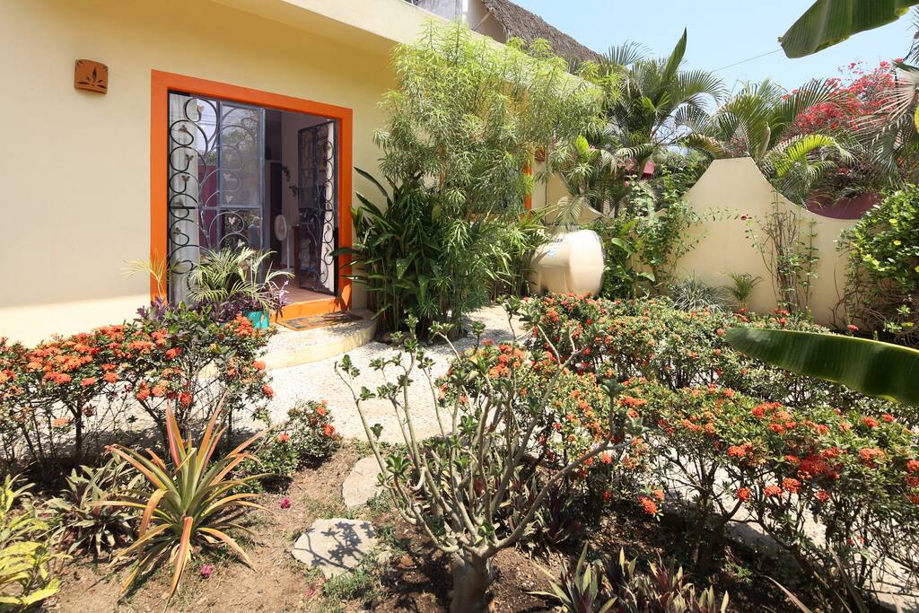 Front yard