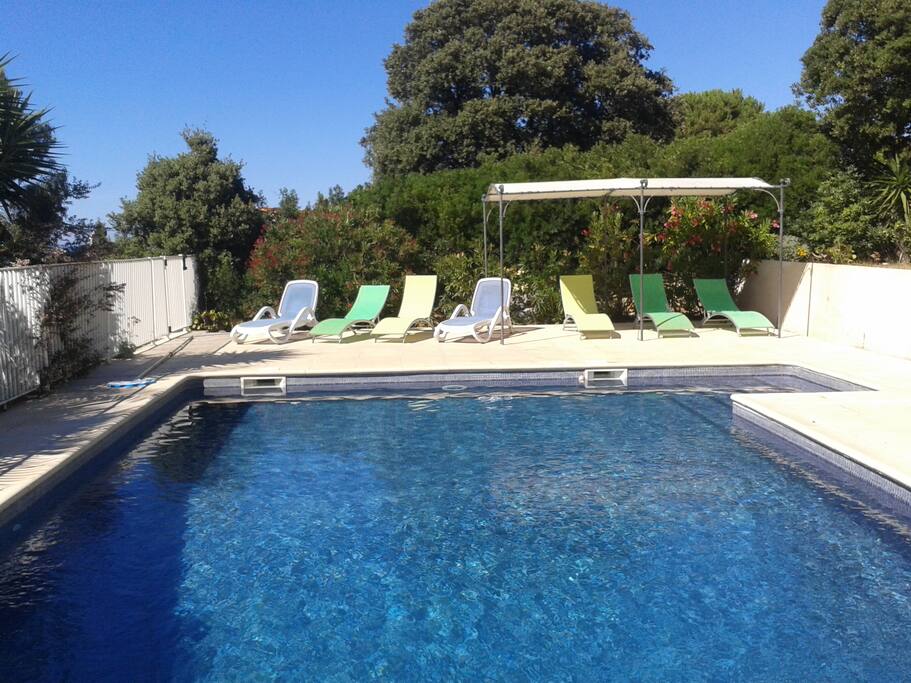 Piscine, pergolas et transats