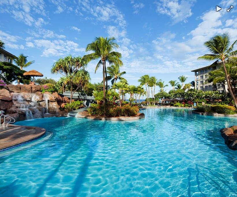 main swimming pool