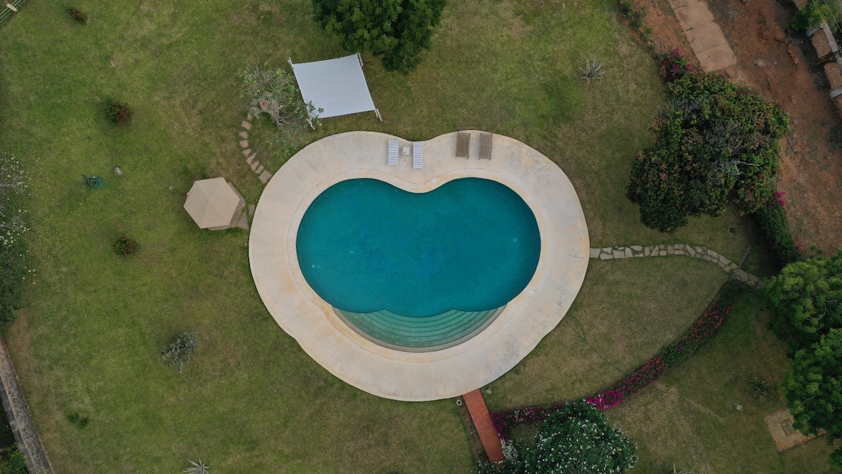 An aerial view captures a uniquely shaped swimming pool surrounded by lush greenery. The soft curves of the pool are accented by light-colored decking. Sunbeds are placed nearby, and a shaded cabana offers a relaxing spot to unwind amidst the vibrant landscape.