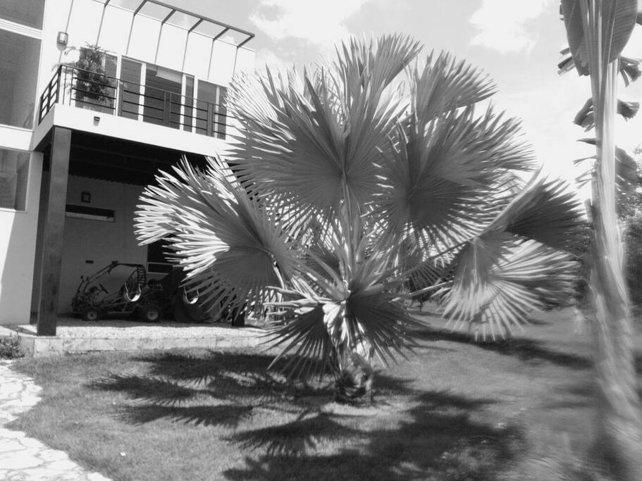 Always spectacular, even in B&W