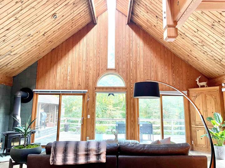 NEW Cozy Mountain Cabin near VA vineyard/breweries Cabins for Rent in