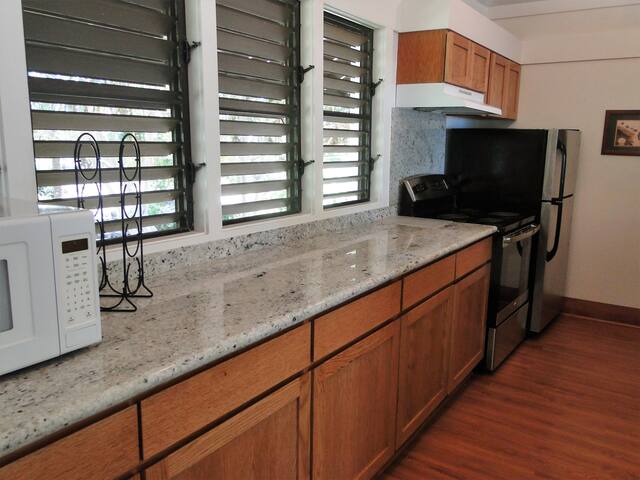 NEW A/C UNITS IN BEDROOMS -OCEAN VIEW-2 Bdrm/2Bath gallery image 4