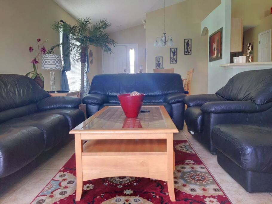 leather sofa living room
