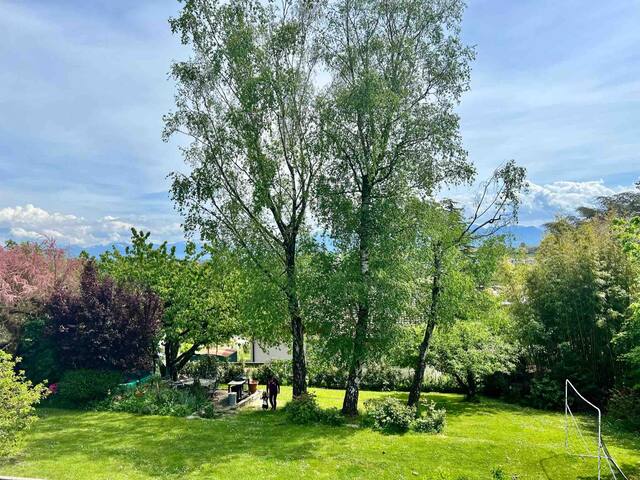 Luxury modern family home with exceptional garden gallery image 5