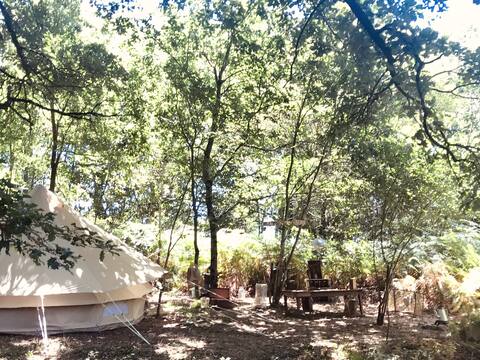 Trappeur tent
