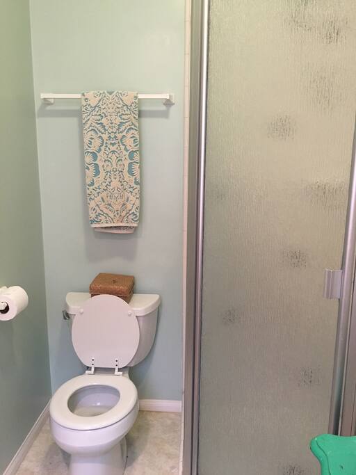 This is the master bathroom.