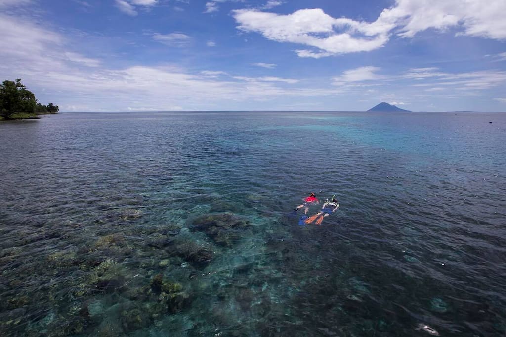 Snorkeling at the house reef of Murex Dive Resort in Manado