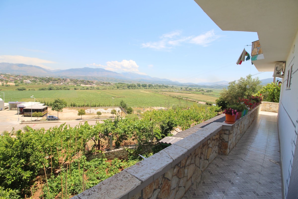 A spacious balcony overlooks a verdant landscape, featuring vineyards and rolling hills. The stone railing is adorned with potted plants, and the sky is bright with low-hanging clouds, creating a serene outdoor setting.