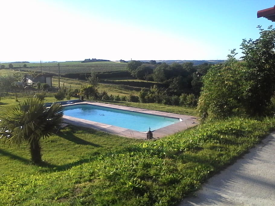 la piscine, vue de la maison