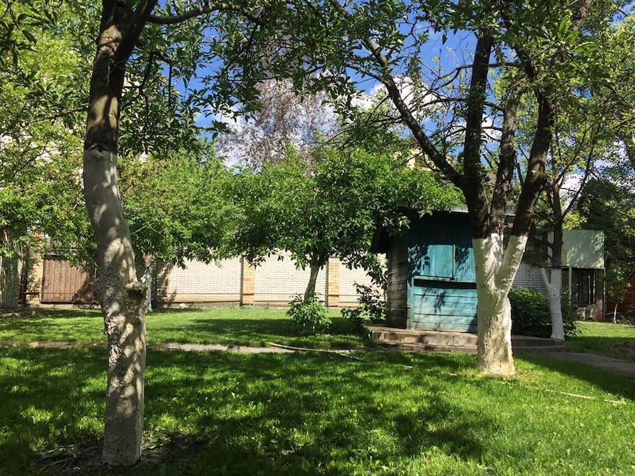 Backyard.
