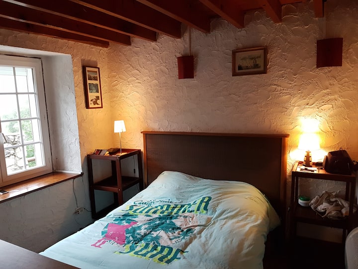 chumba cha watu wazima kwenye ghorofa ya chini 