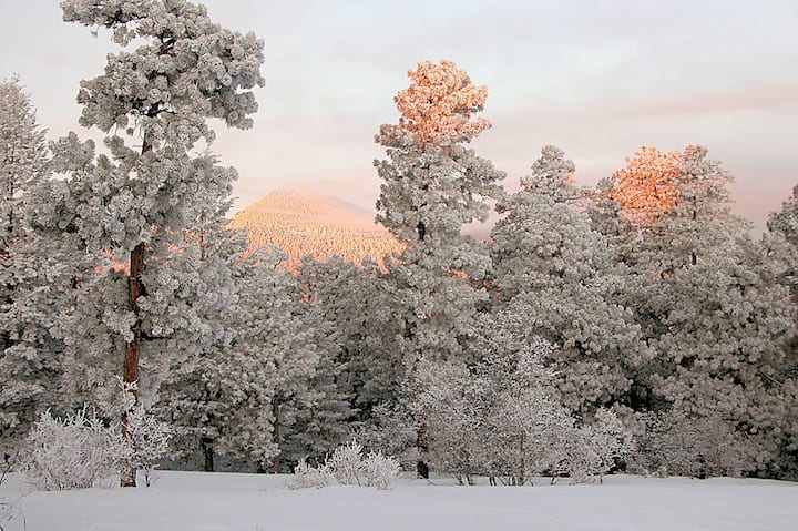 Mica Ridge Ranch - Private Paradise Near Town - Evergreen, CO