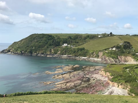 Talland Bay Birdie Box close to the sea