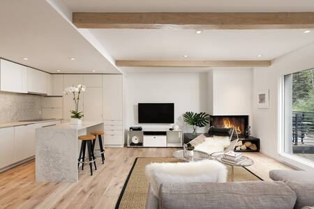 Modern Riverfront Condo In Downtown Aspen