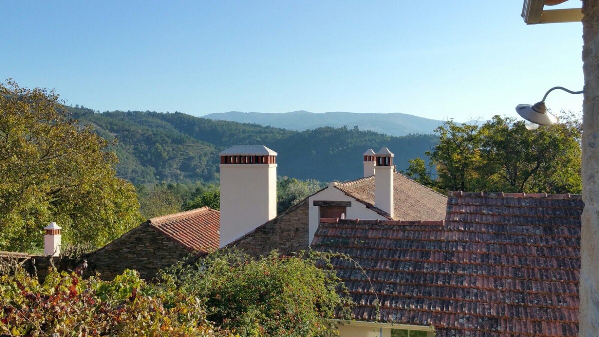 The image showcases a view of rooflines with distinctive chimneys against a backdrop of rolling mountains. Sunlight highlights the varied textures of the rooftops, while greenery from surrounding trees enhances the serene landscape.