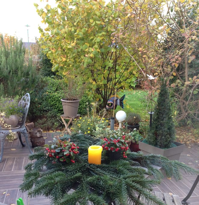 Autumn has arrived!