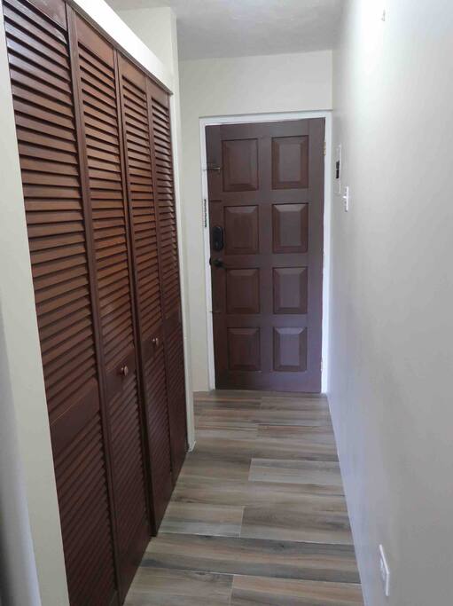 The entrance door