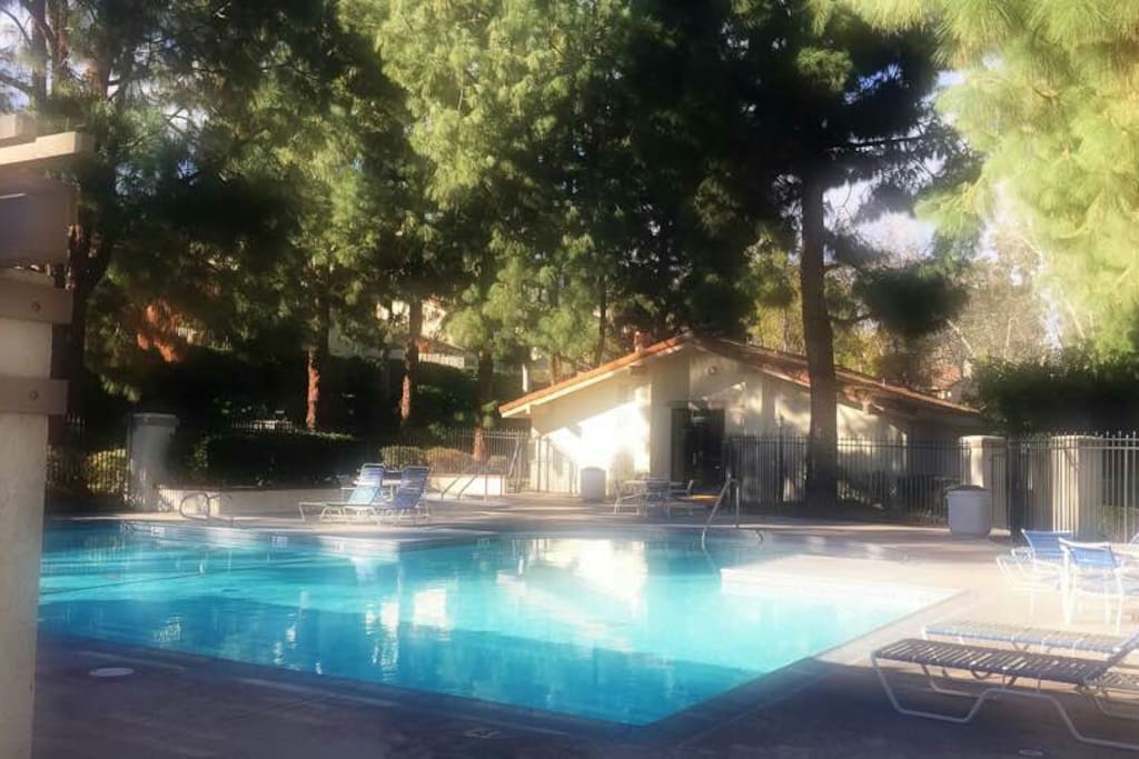 Pool & Jacuzzi