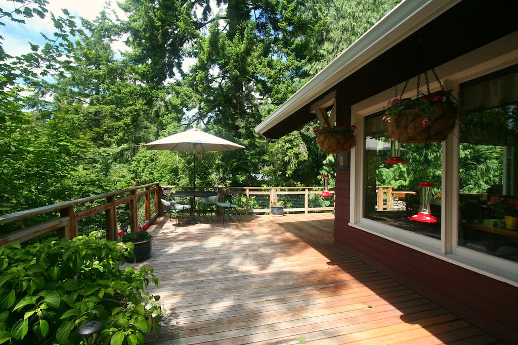 Our huge deck looking North