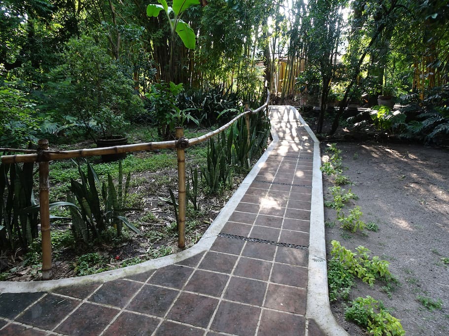 Camino del garage a la casa
Walkway to main house