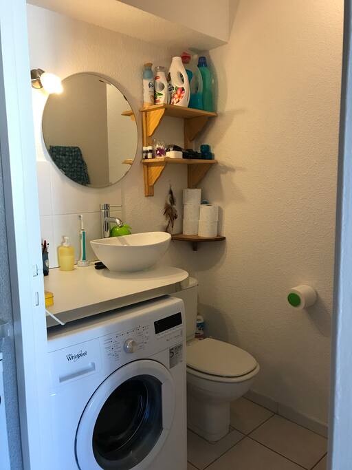 Salle d'eau + WC