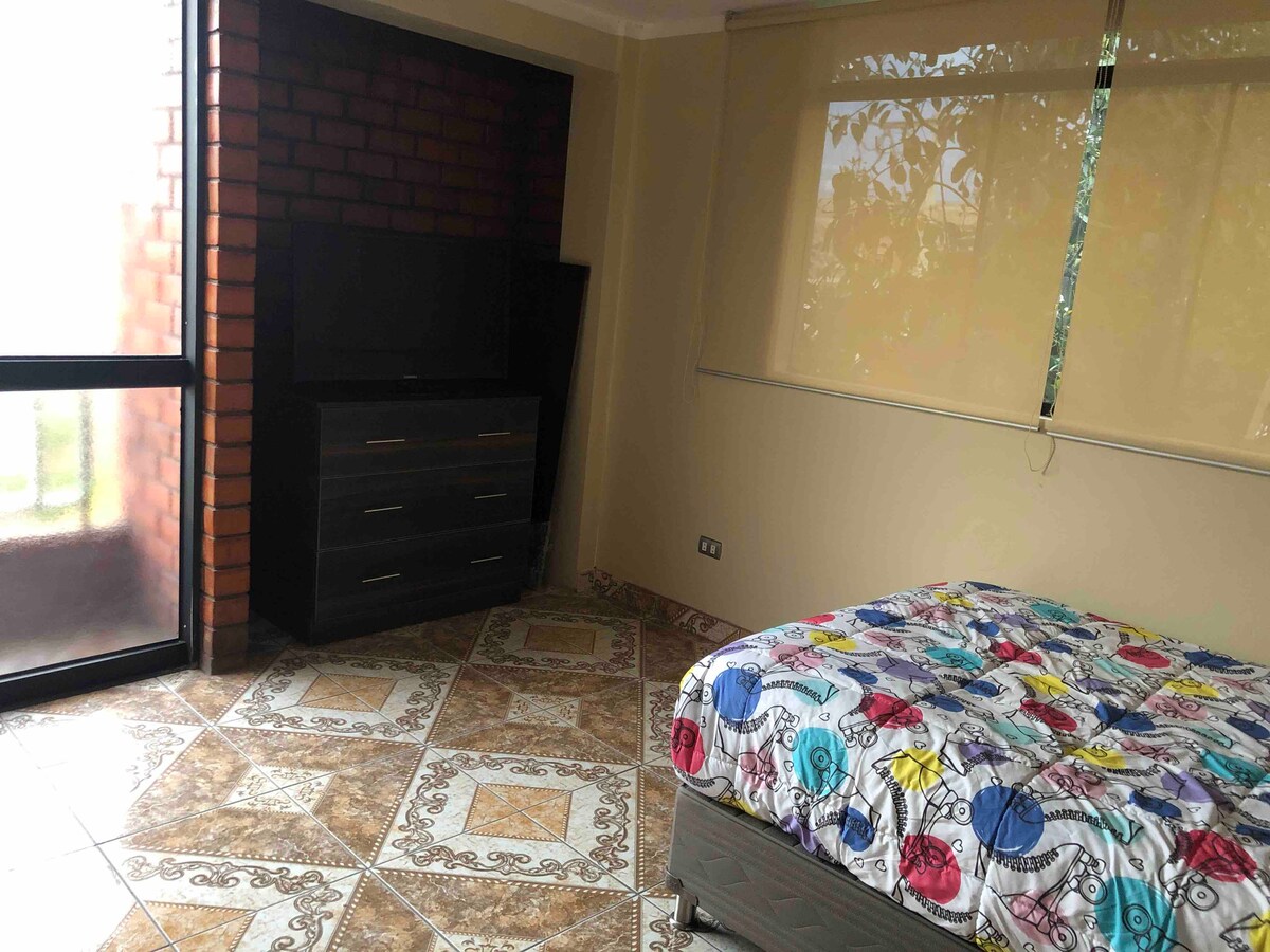 The spacious bedroom features a colorful patterned blanket covering the bed. A dresser stands against a brick wall, and a television is mounted nearby. Large windows allow natural light to fill the room, while views of greenery can be seen through partially unfurled blinds.