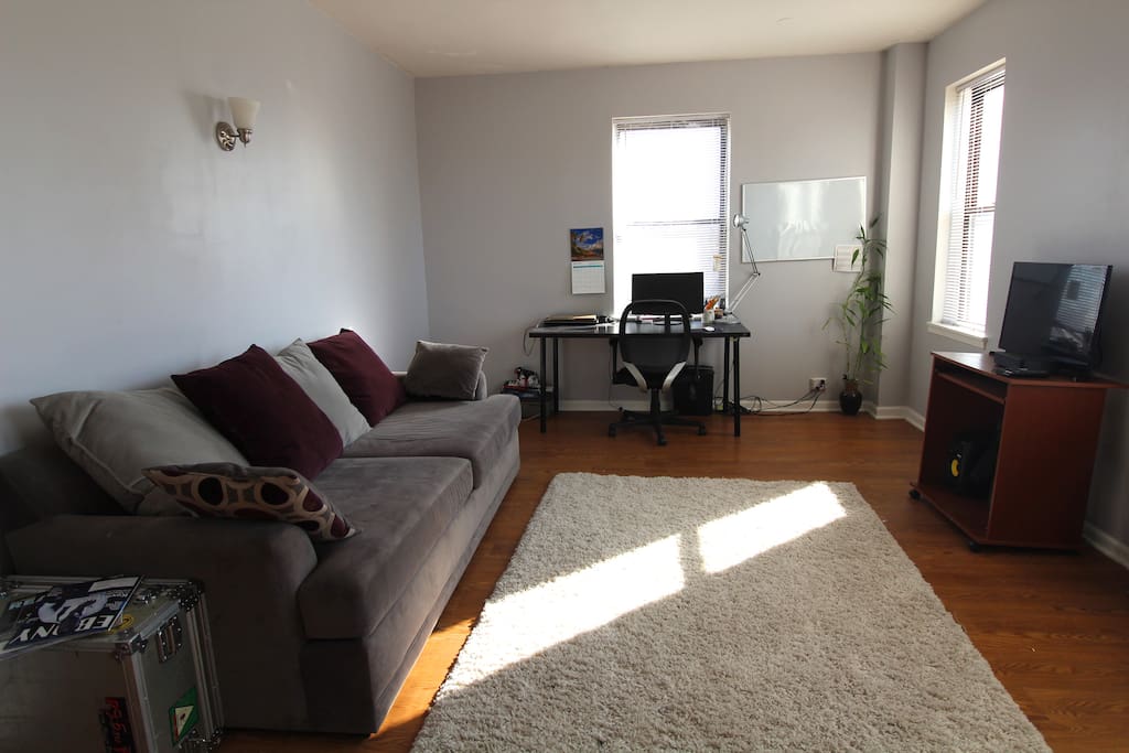 Living room with sofa bed